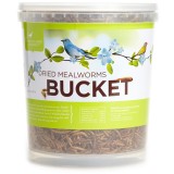 Pacific Bird Dried Mealworm Bucket